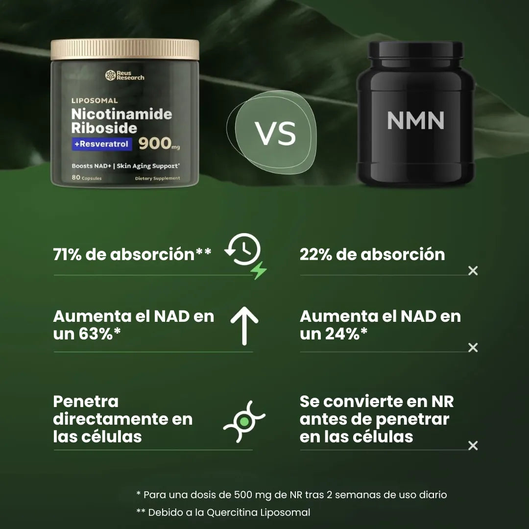 gid://shopify/MediaImage/33089339752618