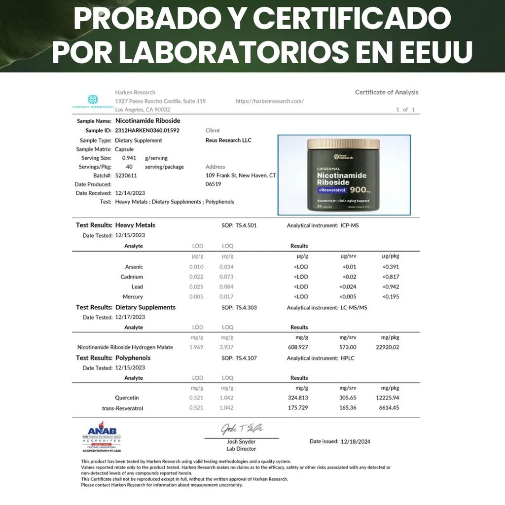 gid://shopify/MediaImage/33089343619242